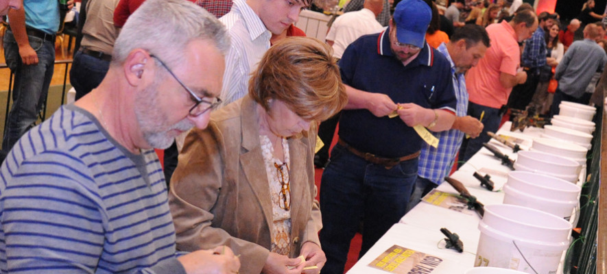 USSA TV Rally Wrap Up